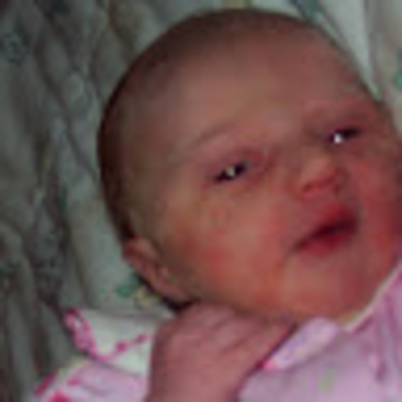 Meet your Posher, Ruby - Picture 1 of 1